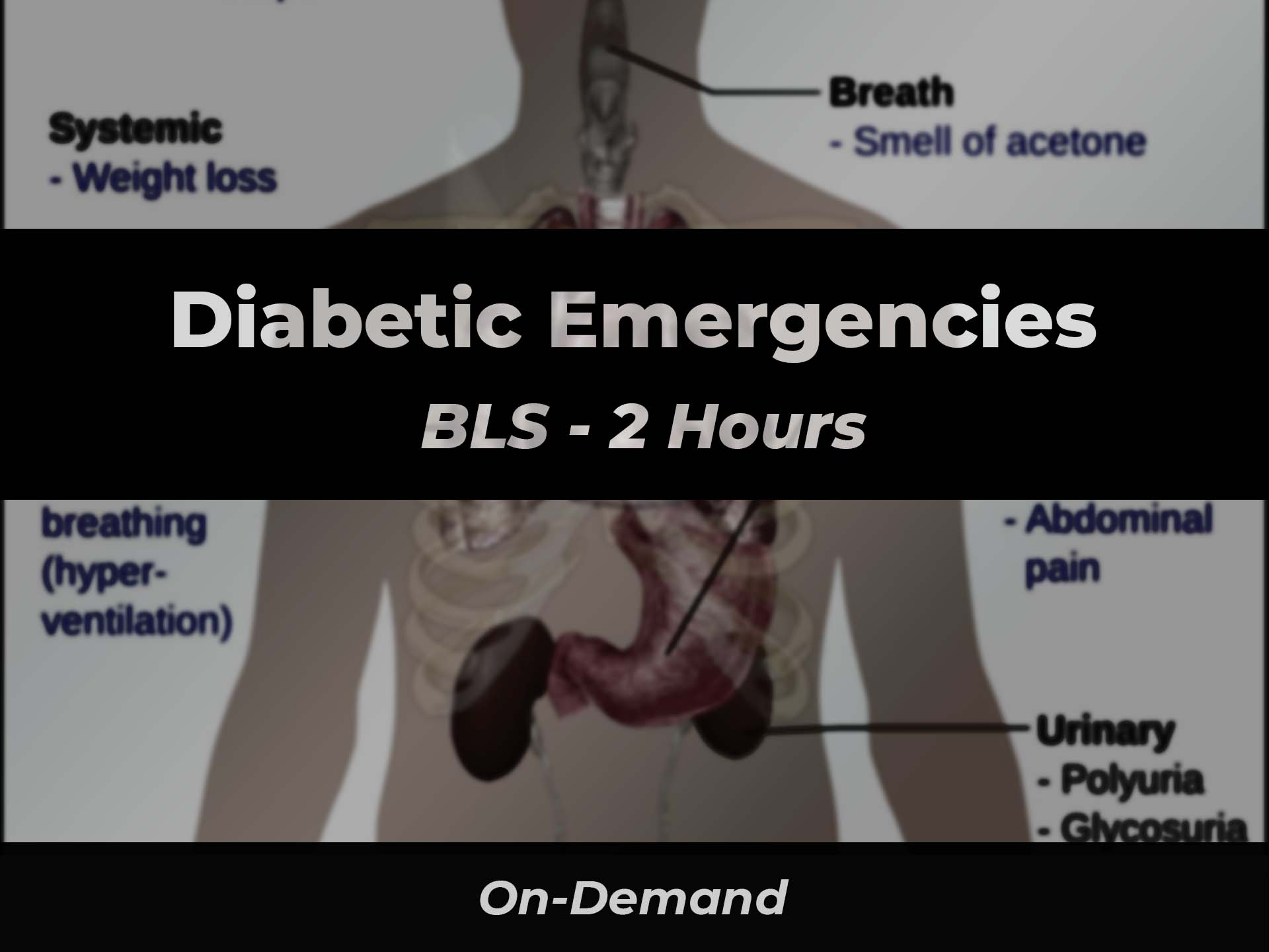 Diabetic Emergencies BLS | 911 e-Learning Solutions LLC