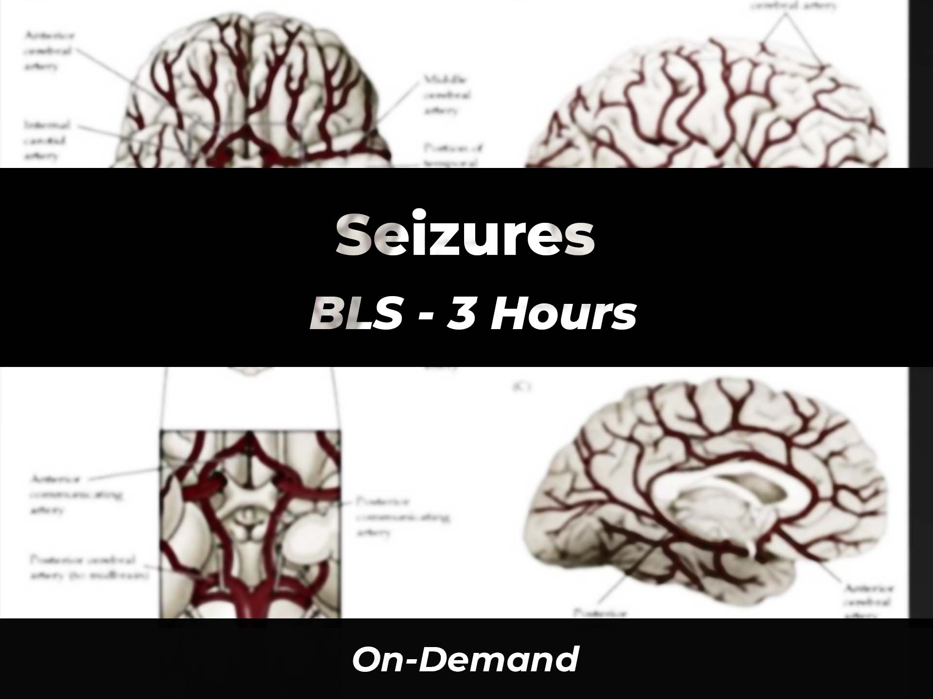On-Demand Seizures BLS | 911 e-Learning Solutions LLC