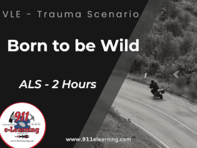 VLE - Born to be Wild | 911 e-Learning Solutions, LLC