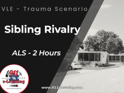 VLE - Sibling Rivalry | 911 e-Learning Solutions, LLC